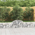 Vidaxl schanskorven 2 st gewelfd 200x30x40 60 cm gegalvaniseerd ijzer