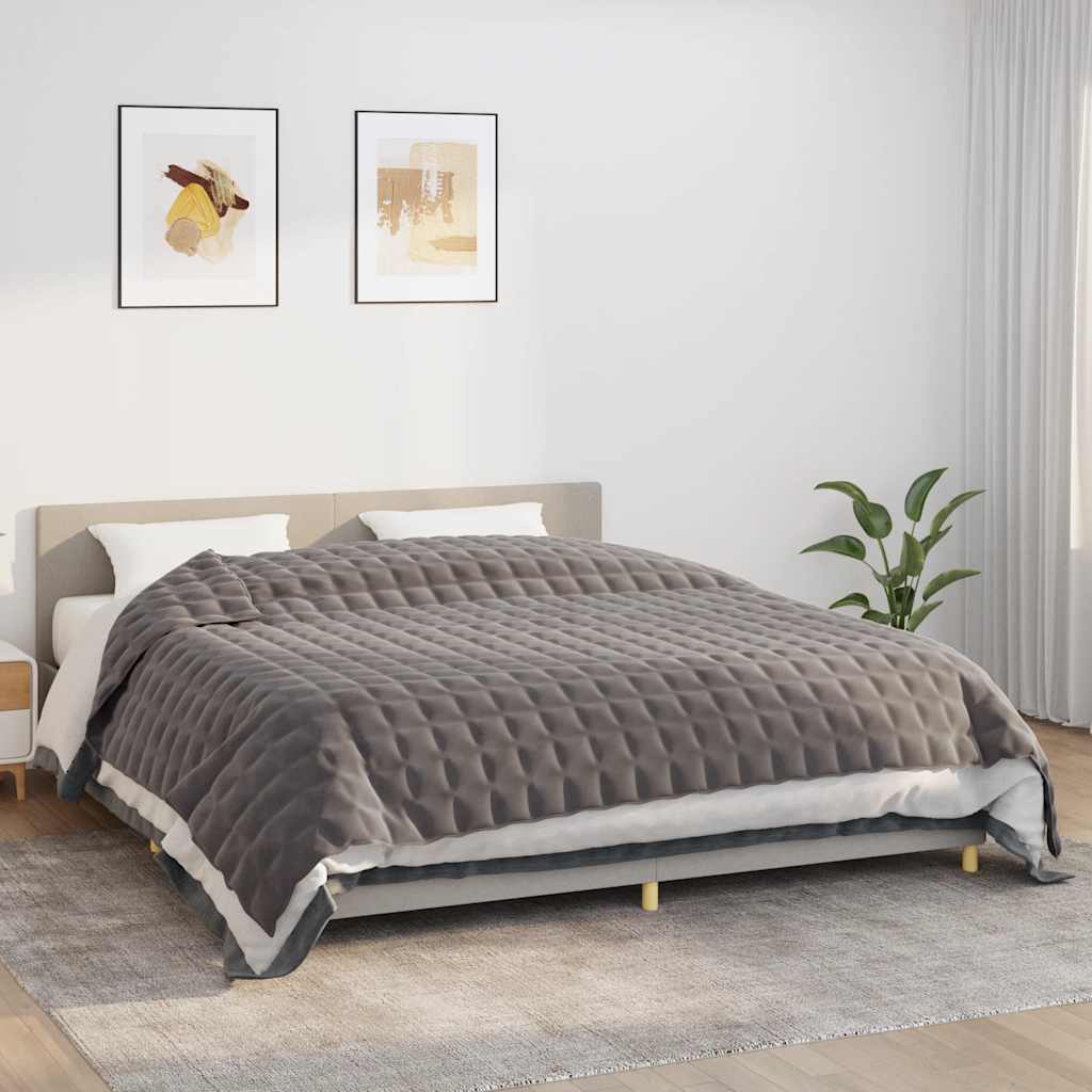 Vidaxxl schwache Decke 220x260 cm 15 kg Stoff grau