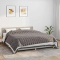 Vidaxxl schwache Decke 220x260 cm 15 kg Stoff grau
