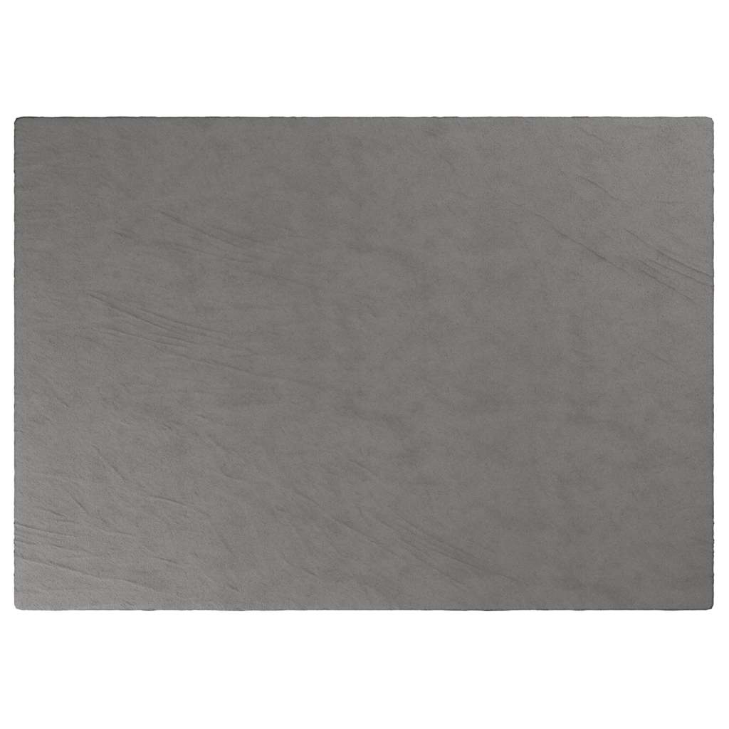Vidaxl Schaukeldeck mit Abdeckung 155 x 220 cm 7 kg Stoff grau