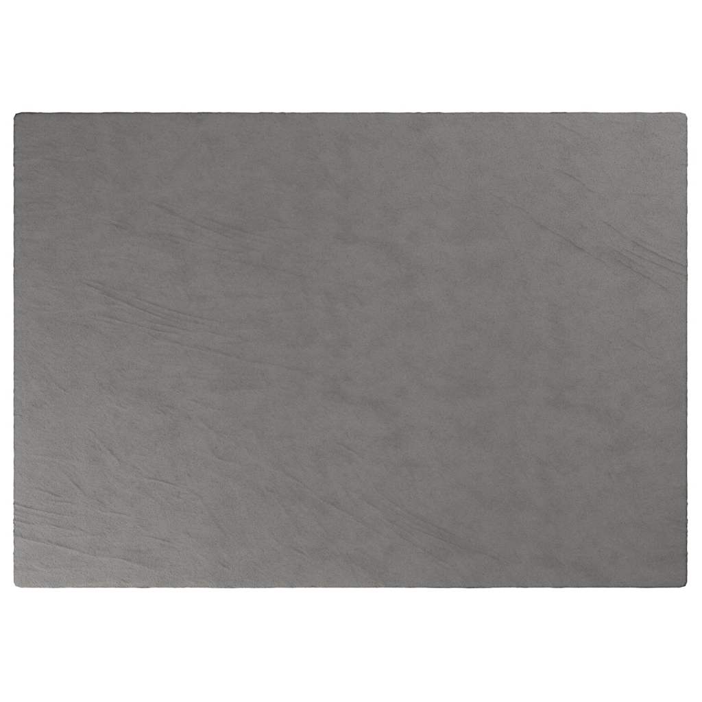 Vidaxl Schaukeldeck mit Abdeckung 155 x 220 cm 11 kg Stoff grau