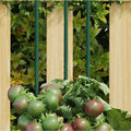 Vidaxl plantenstaken 30 st 90 cm staal groen