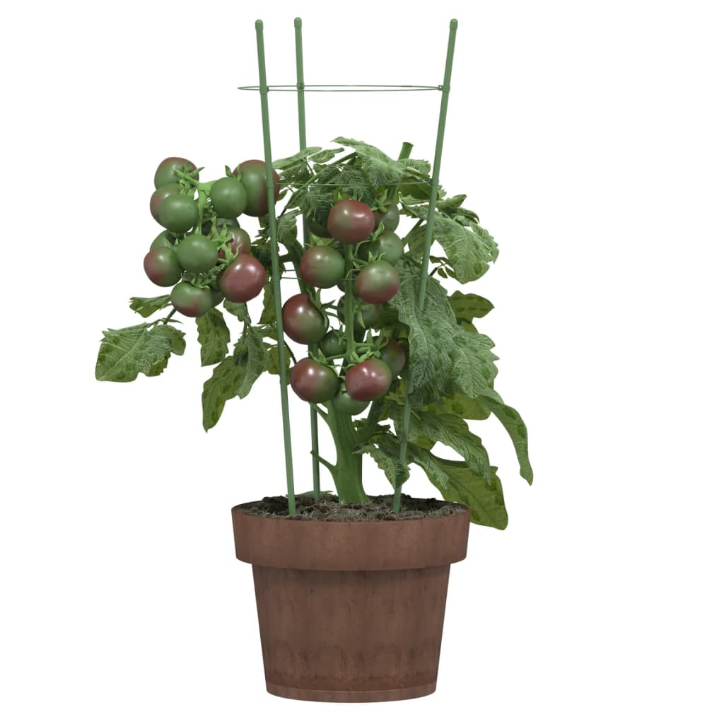 VidaXL Pflanzenstützen, 5 Stück mit 3 Ringen, 45 cm, Stahl, Grün