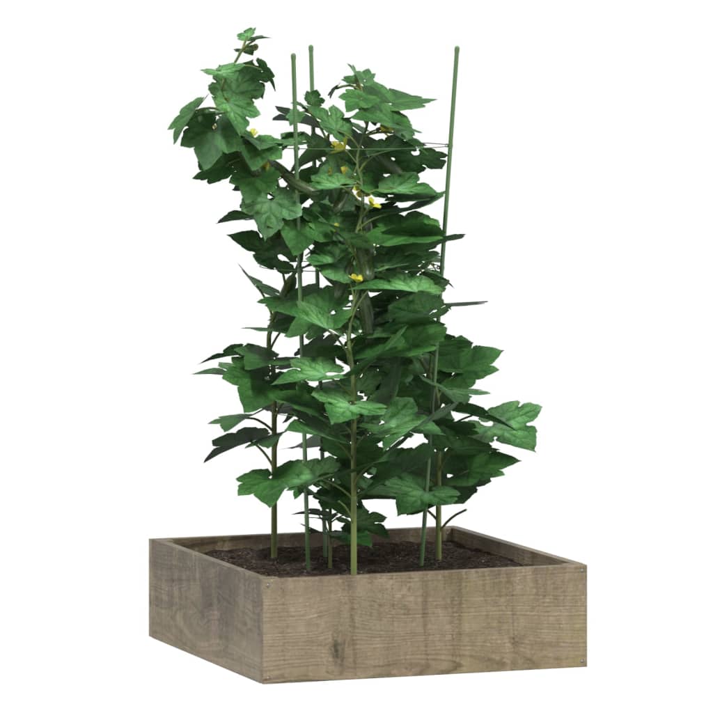 VidaXL Pflanzenstützen, 5 Stück mit 3 Ringen, 75 cm, Stahl, Grün