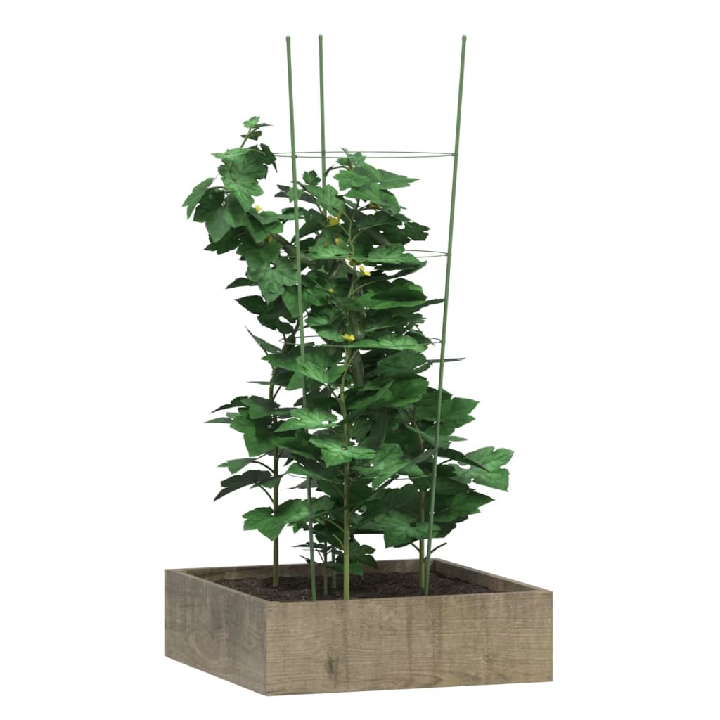 VidaXL Pflanzenstützen, 5 Stück mit 4 Ringen, 90 cm, Stahl, Grün