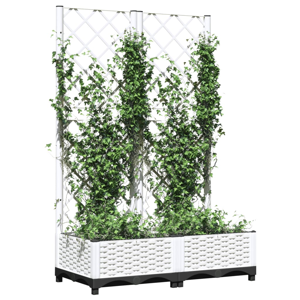 VIDAXL -Planzer mit Spalier 80x40x121,5 cm Polypropylen