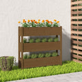 VIDAXL -Planungsbox 112x25x104,5 cm Festkiefer Honigbraun