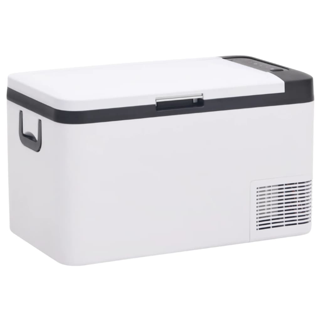 Vidaxl Kühlbox mit Griff, 18 l, PP PE, Schwarz-Weiß