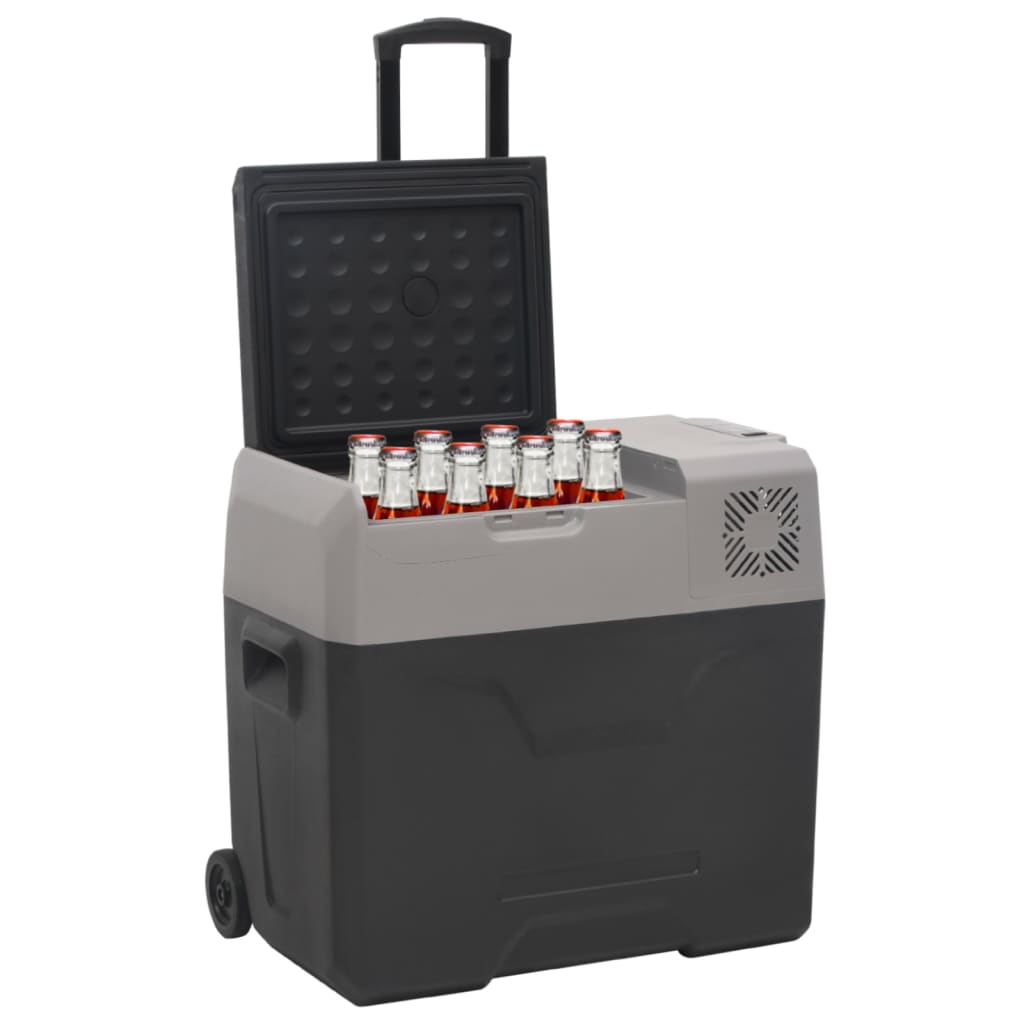 VidaXL Kühlbox mit Rollen und Griffen, 30 l, Polypropylen, schwarz und grau