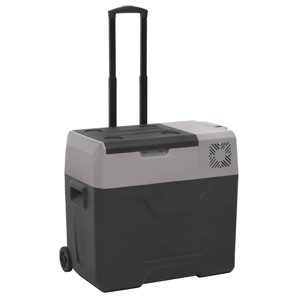 Vidaxl Kühlbox mit Rollen, 40 l, Polypropylen, schwarz und grau