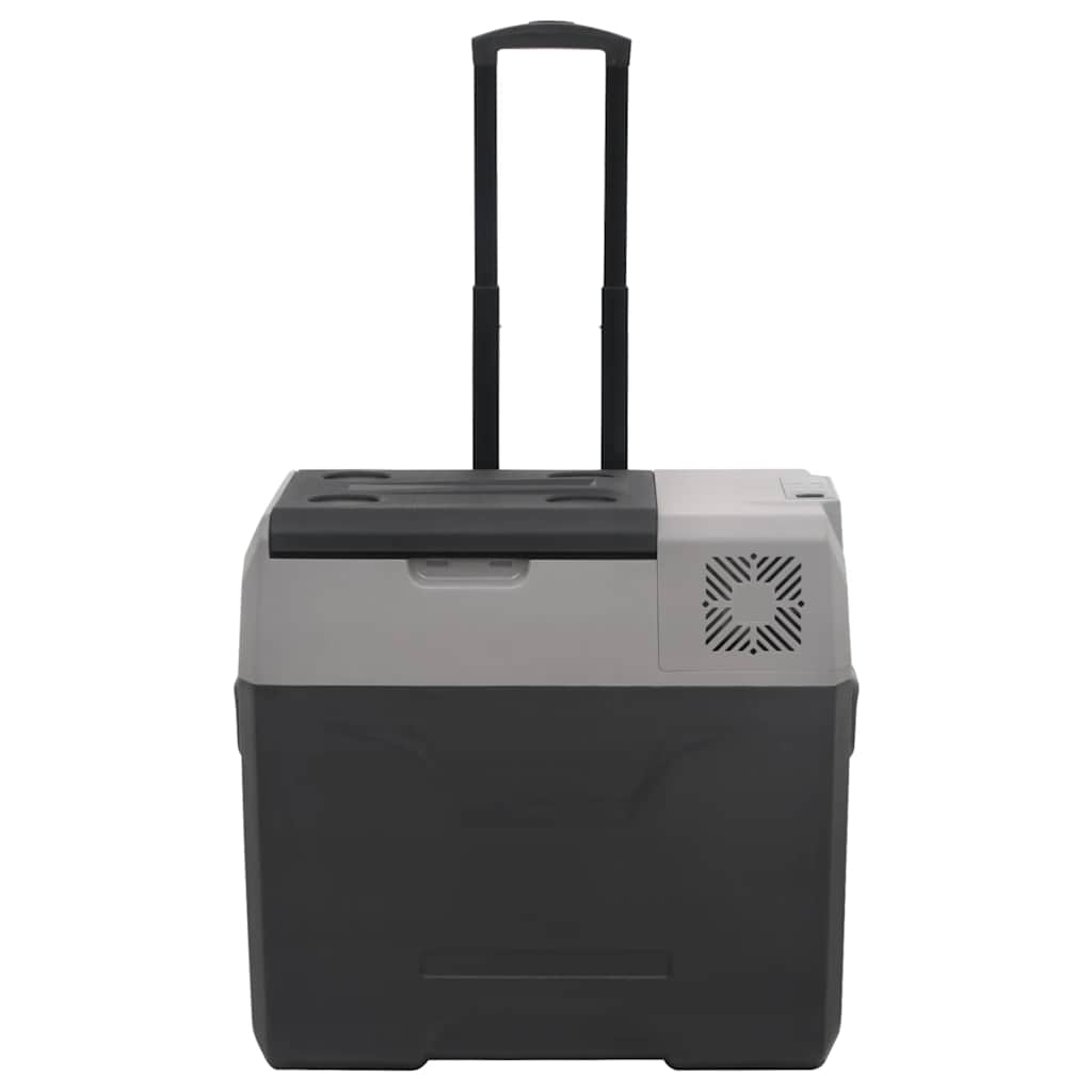 Vidaxl Kühlbox mit Rollen, 40 l, Polypropylen, schwarz und grau
