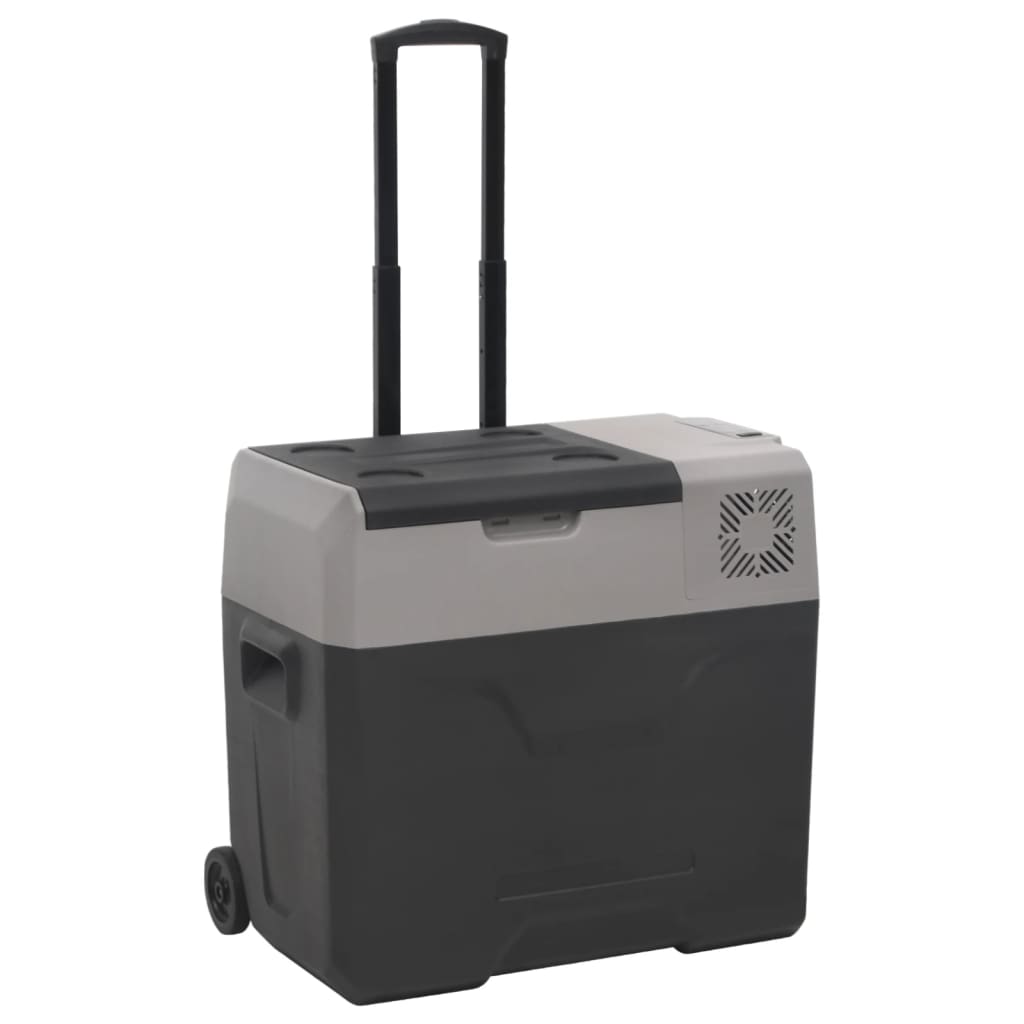 VidaXL Kühlbox mit Rollen und Griffen, 50 l, Polypropylen, schwarz und grau