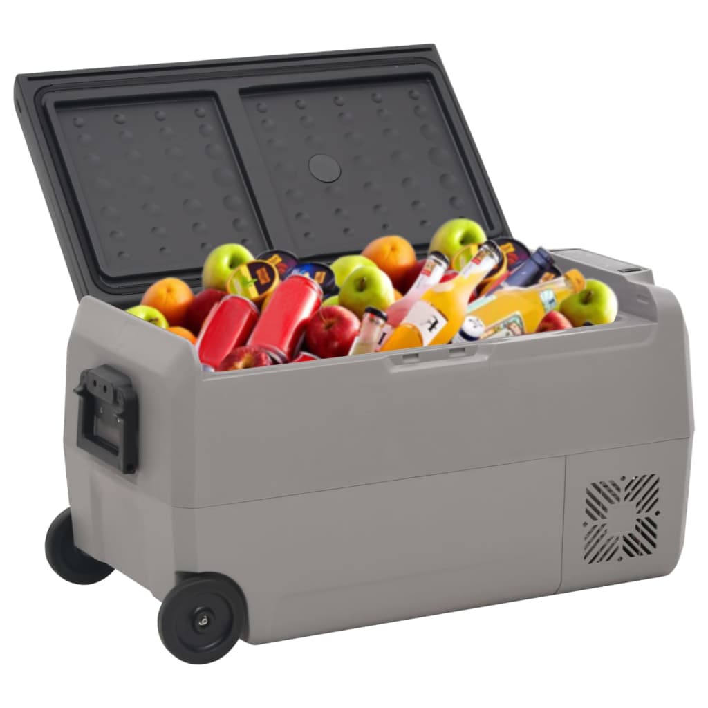 VidaXL Kühlbox mit Rollen, 60 l, Polypropylen, schwarz und grau