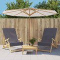 VidaXL Strandtücher, 2 Stück, 400 g/m², 60 x 135 cm, anthrazitfarben