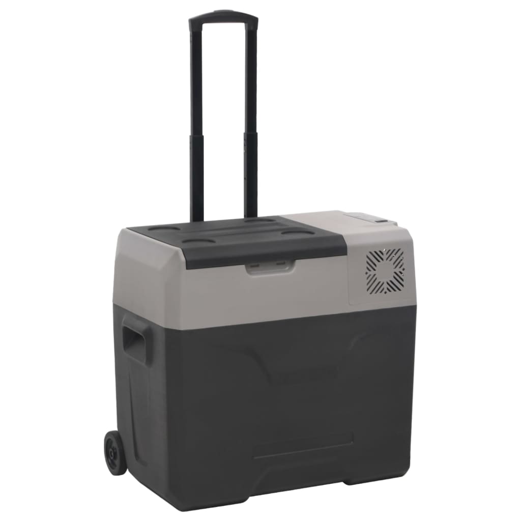 Vidaxl koelbox met wielen en adapter 30 l polypropeen zwart en grijs