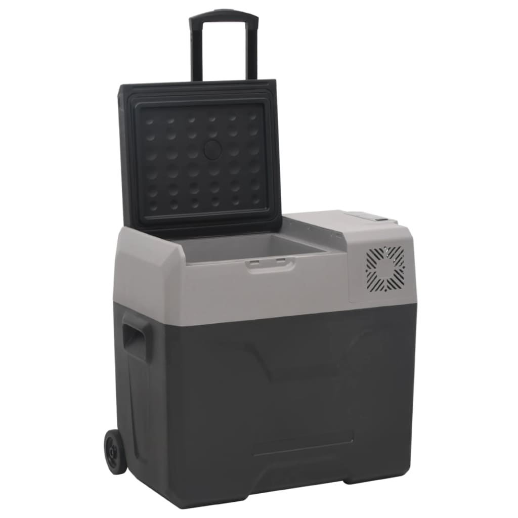 Vidaxl koelbox met wielen en adapter 40 l polypropeen zwart en grijs