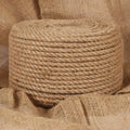 Vidaxl touw 25 m lang 10 mm dik jute