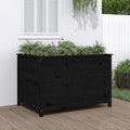 VIDAXL -Planzer erhöht 119,5 x 82,5 x 78 cm Festes Kiefernholz schwarz