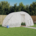 Vidaxl tuinkas met stalen frame 10 m² 5x2x2,3 m