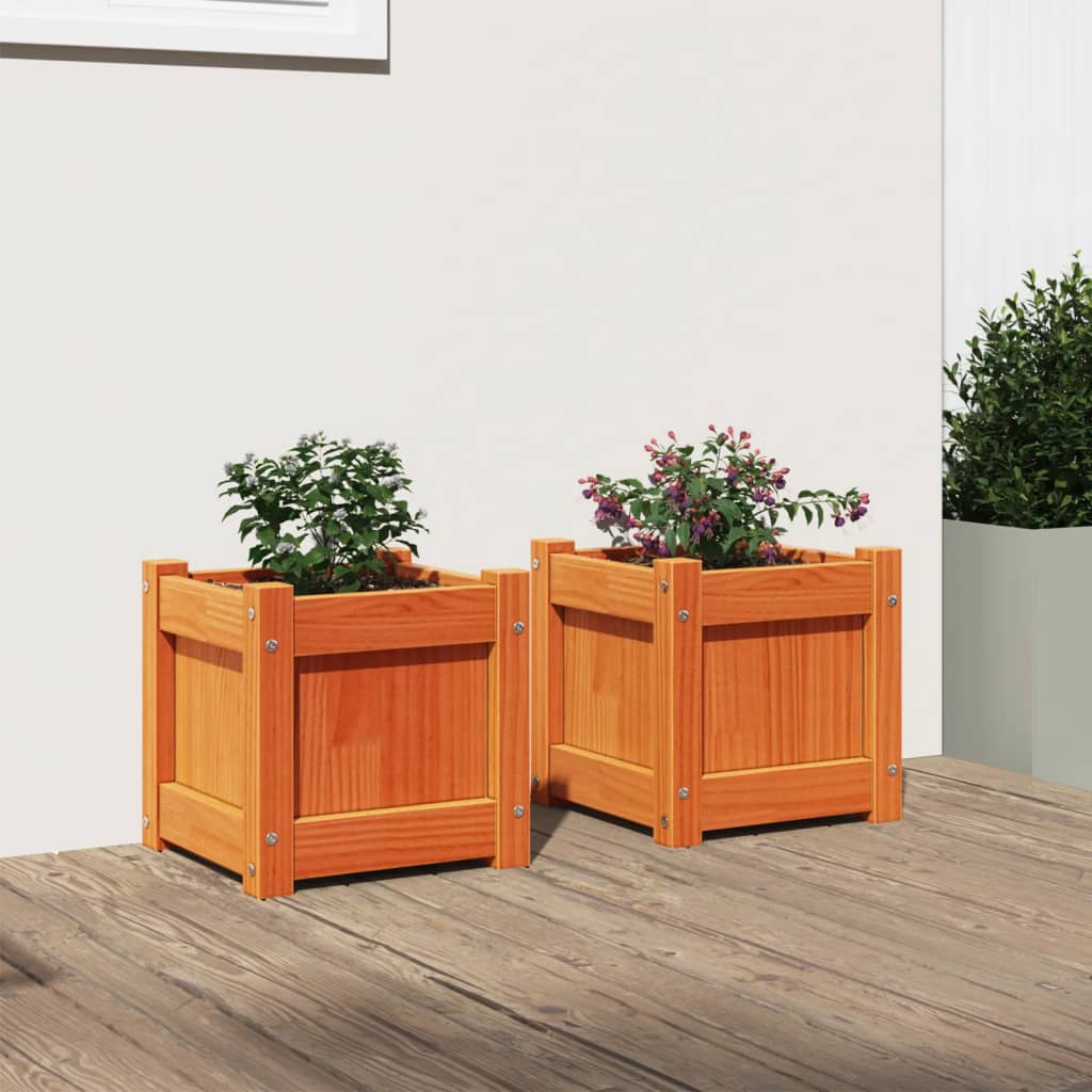 Vidaxl -Pflanzer 2 St. cm Festkiefer Wäsche braun