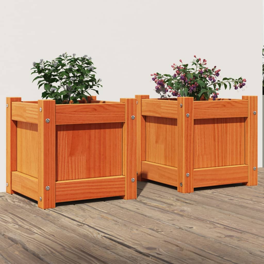 Vidaxl -Pflanzer 2 St. cm Festkiefer Wäsche braun