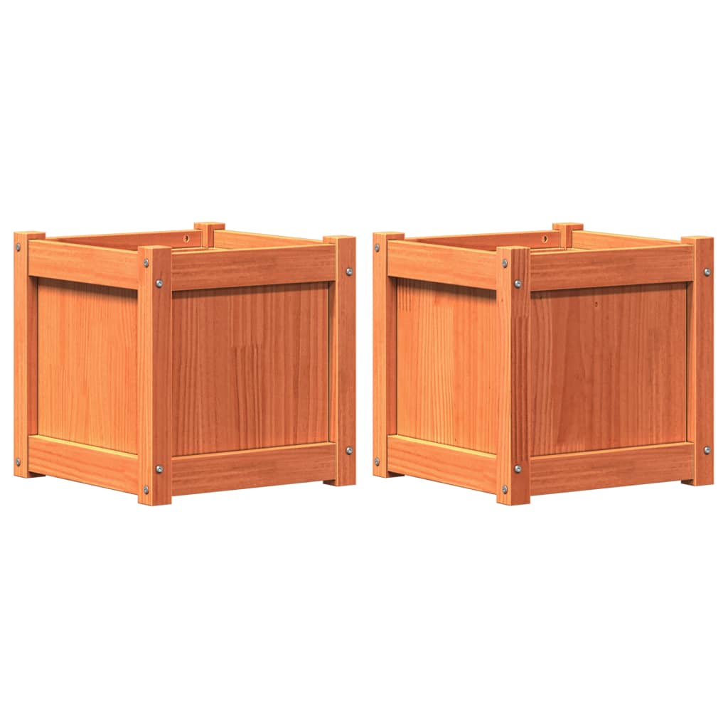 Vidaxl -Pflanzer 2 St. cm Festkiefer Wäsche braun