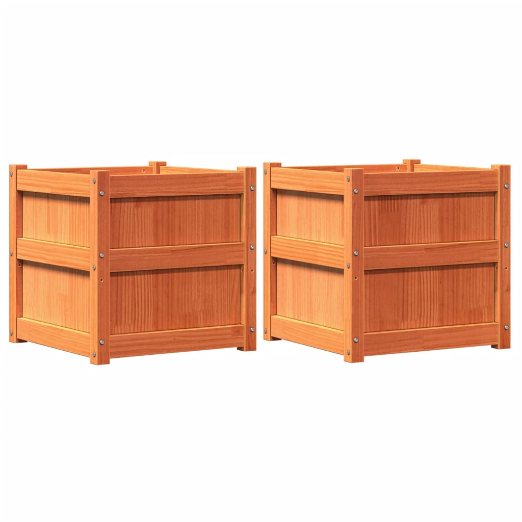 Vidaxl -Pflanzer 2 St. cm Festkiefer Wäsche braun