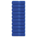 Vidaxl gastendoekjes frogn 10 st 30x50 cm 360 g m² blauw