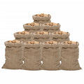 Vidaxl jutezakken 10 stuks 340 g m² 60x105 cm 100% jute