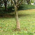 VidaXL Juterolle 200 g/m² 0,25 x 10 m 100 % Jute