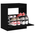 Vidaxx Schuhschrank 60x42x69 cm eigentiertes Holzschwarz