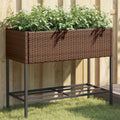 VidaXL Plannet mit Poly Rattan Brown Regal