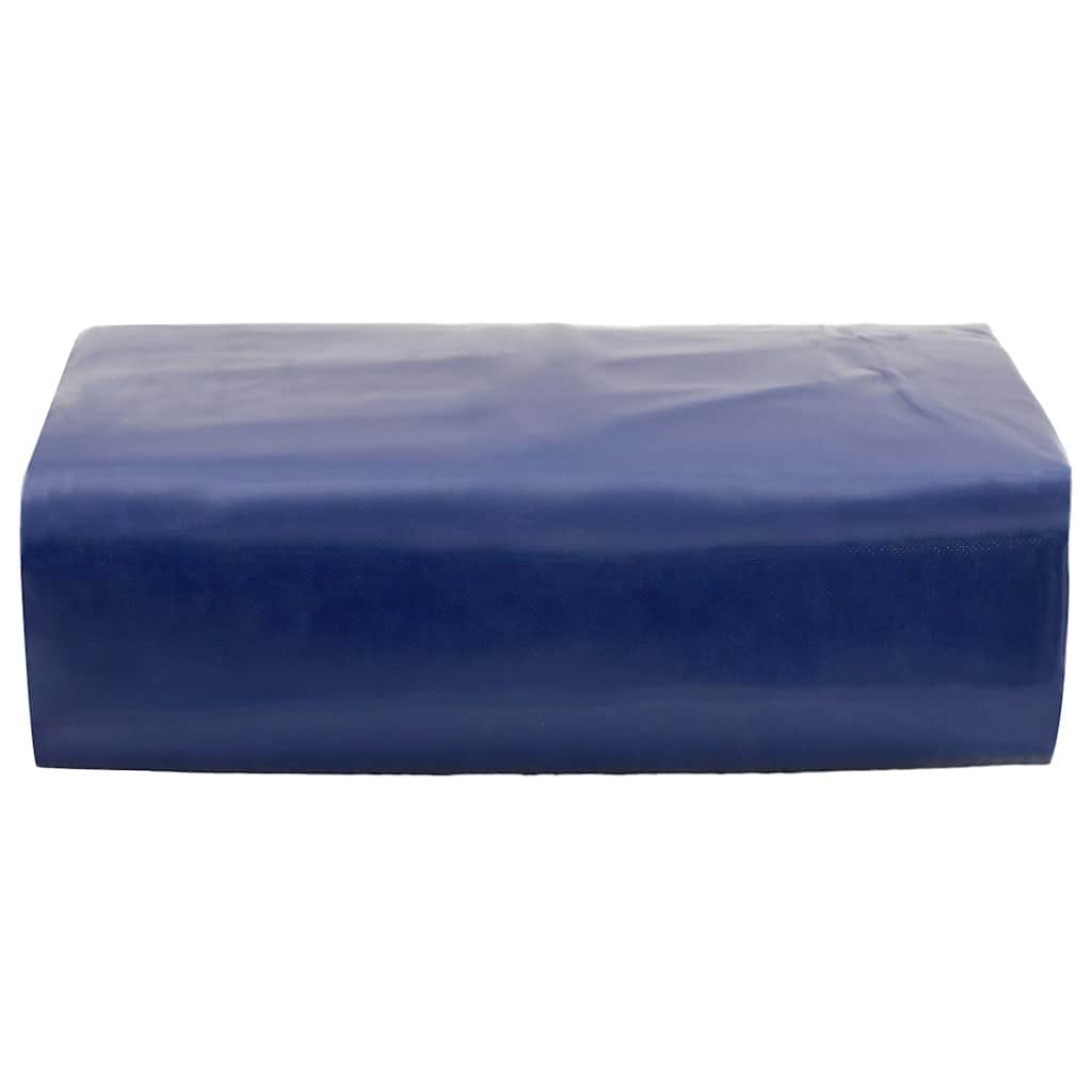 VidaXL Plane 650 g/m² 2x3 m blau