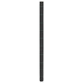 Vidaxxl -Karotten -Stoff 2x50 m Polypropen schwarz
