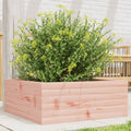 VIDAXL - Planungsbox 60x60x23 cm Massivholz Douglasie
