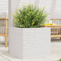 VIDAXL -Planungsbox 50x50x45,5 cm Festkiefer weiß