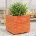 VIDAXL -Planungsbox 50x50x49,5 cm Festkiefer Wäsche Braun