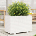 VIDAXL -Planungsbox 70x40x49,5 cm Festkiefer weiß