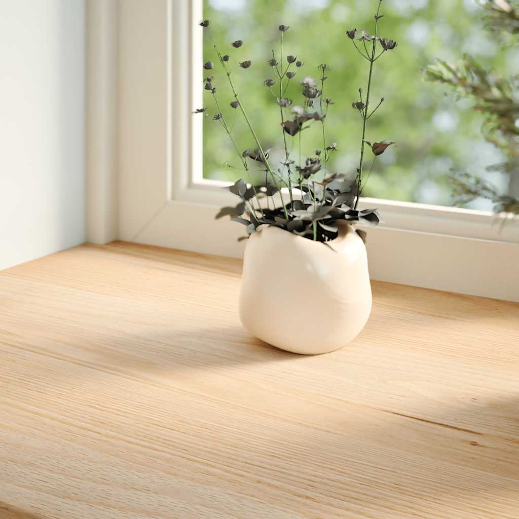 Vidaxl vensterbanken 2 st onbehandeld 160x15x2 cm massief eikenhout