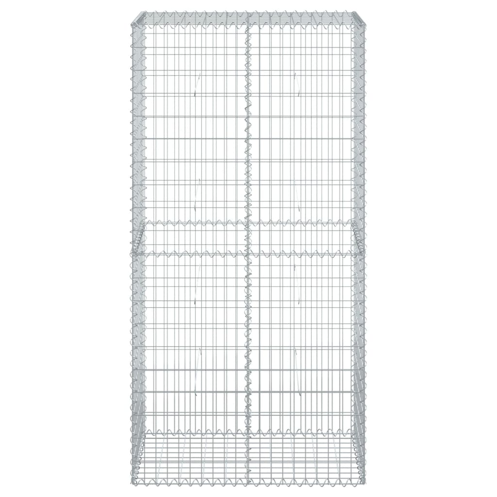 Vidaxx Gabione 100x50x200 cm galvanisiert Eisensilberfarben
