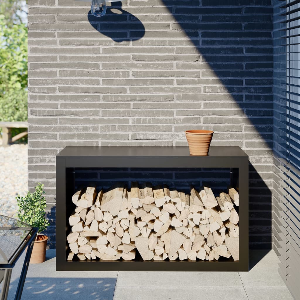VidaXL Kamin 100x40x60 cm Stahl schwarz