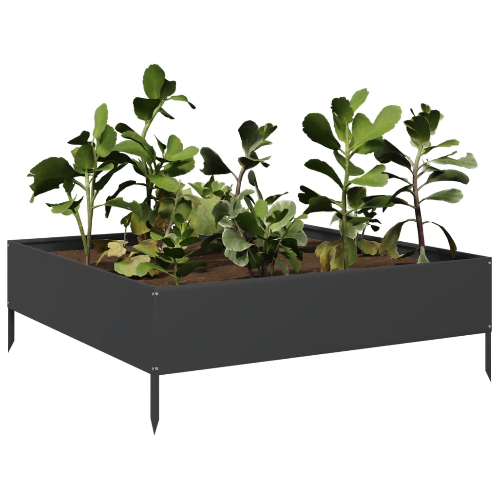 VIDAXL -Planzer erhöht 100x100x33,5 cm Stahl schwarz