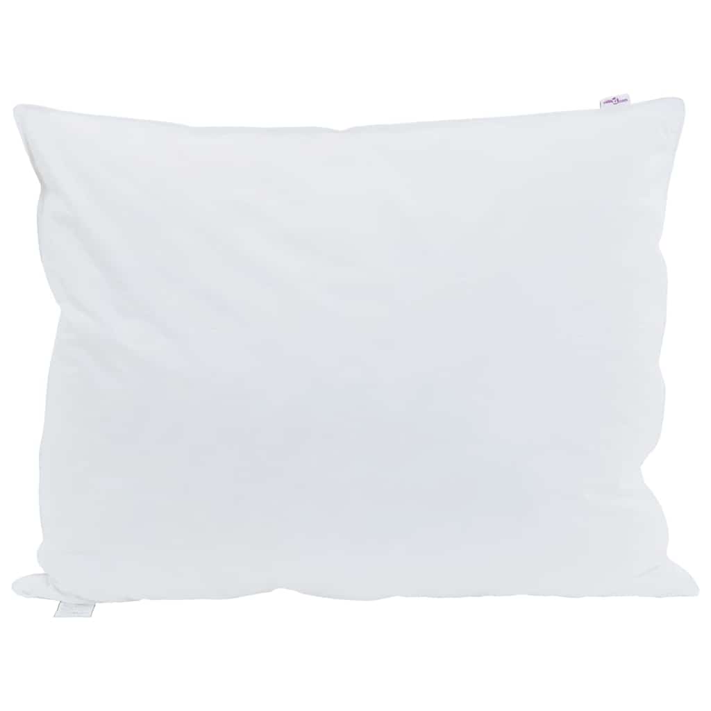 Vidaxl hoofdkussen met kussen wit 40 x 60 cm veren