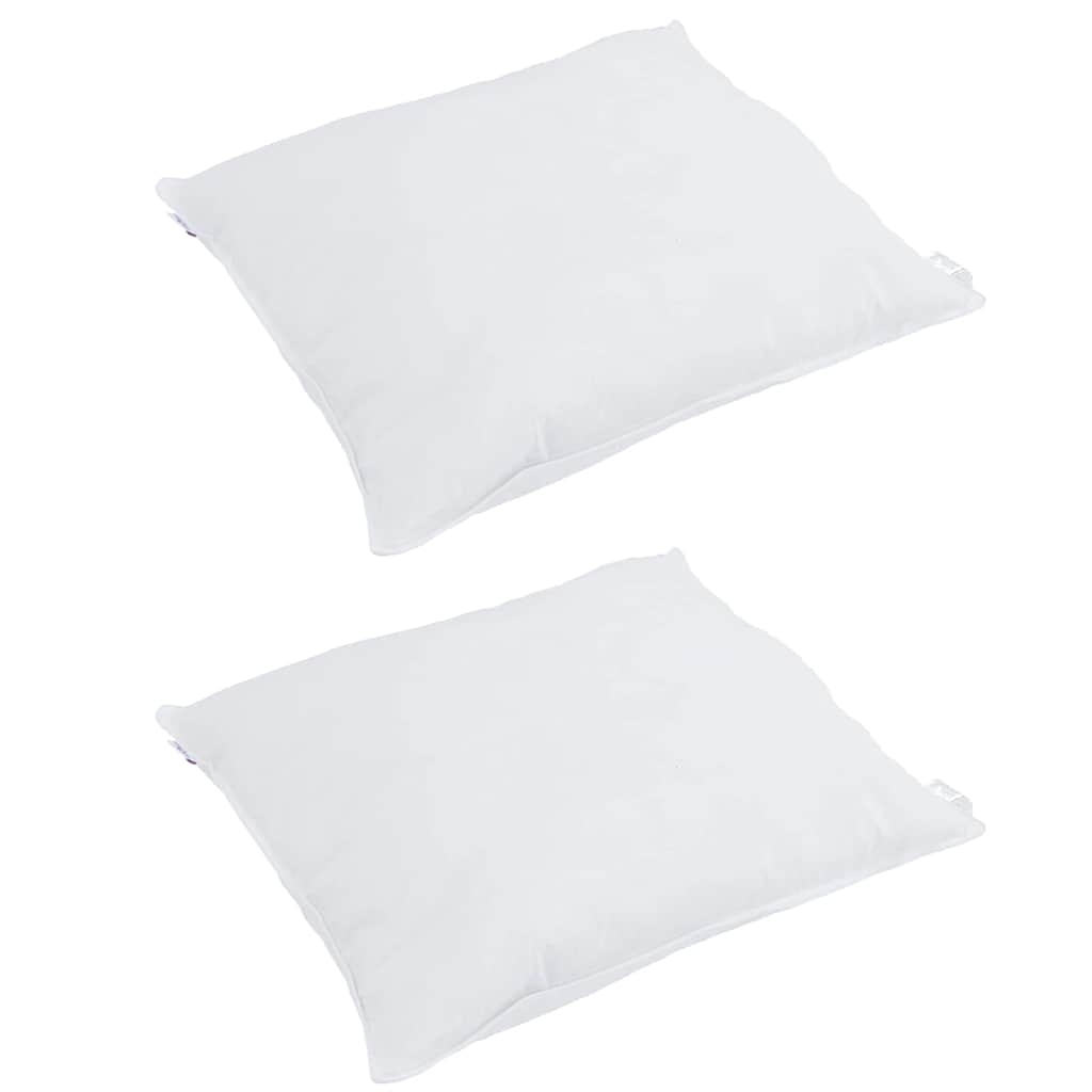 Vidaxl hoofdkussen met kussen 2 pcs wit 65 x 65 cm veren