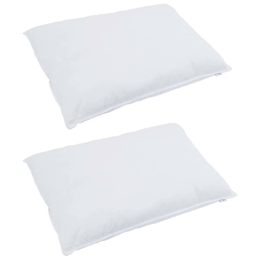 Vidaxl hoofdkussen met kussen 2 pcs wit 60 x 80 cm veren
