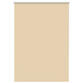 Vidaxl rolgordijn verduisterend 100x175cm stofbreedte 95,7cm polyester