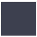 Vidaxl rolgordijn verduisterend 165x175 cm stofbreedte 161,6 cm blauw