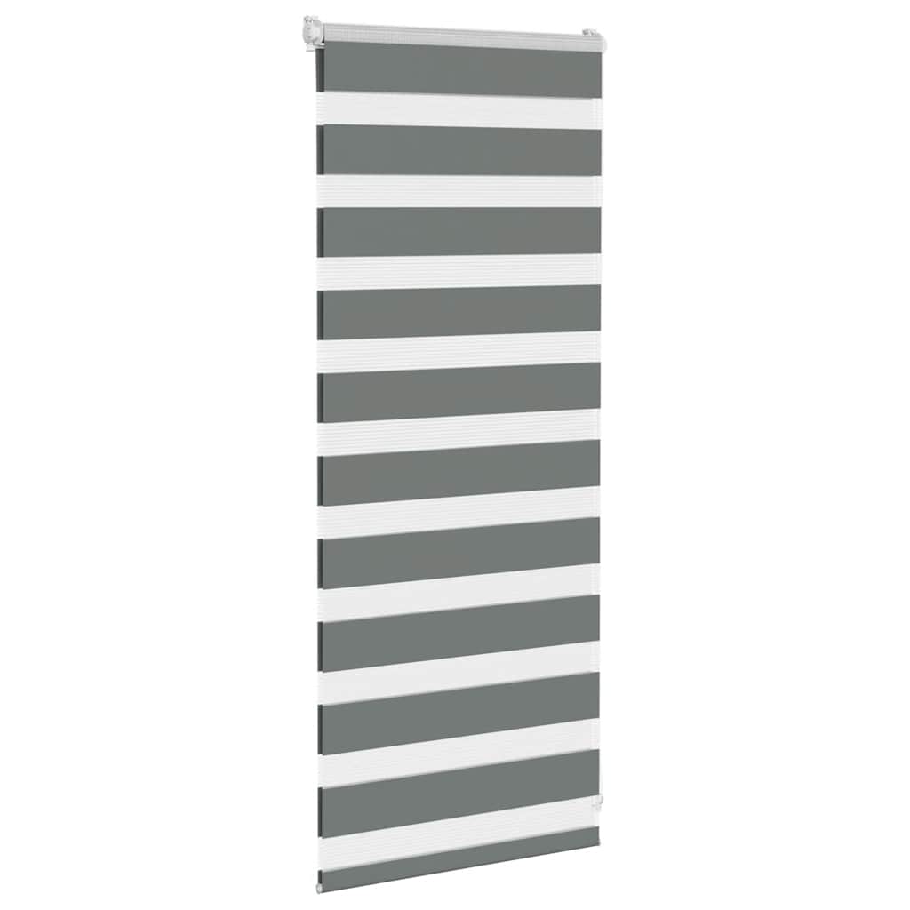 VidaXL Zebra-Rollo 65 x 100 cm, Stoffbreite 60,9 cm, dunkelgrau