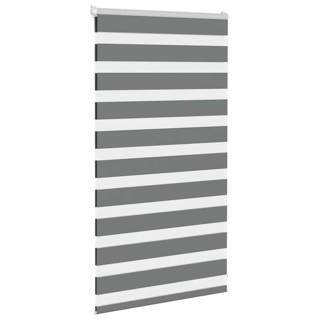 VidaXL Zebra-Rollo 70 x 100 cm, Stoffbreite 65,9 cm, dunkelgrau