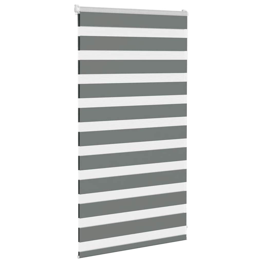 VidaXL Zebra-Rollo 80 x 100 cm, Stoffbreite 75,9 cm, dunkelgrau